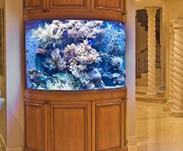 Vastu Tips: For Fish Aquarium